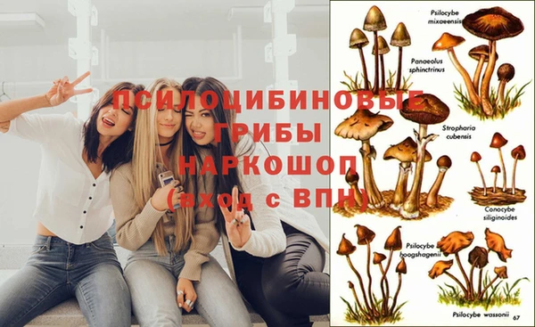 MDMA Premium VHQ Алексеевка