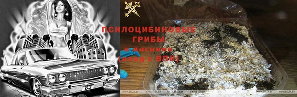 амф Медвежьегорск